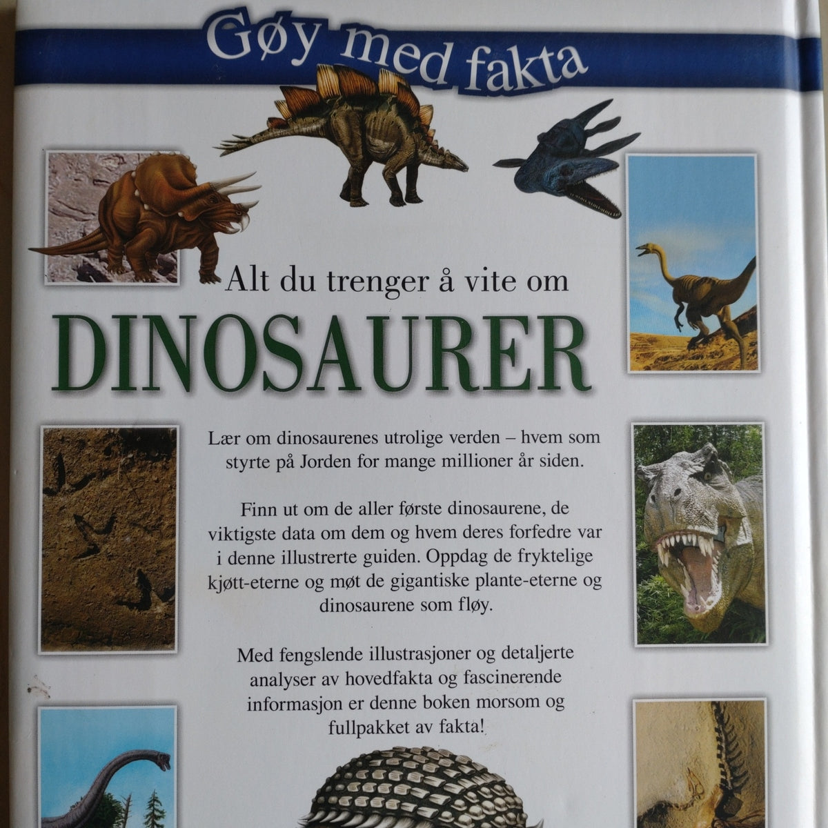 Alt du trenger å vite om dinosaurer