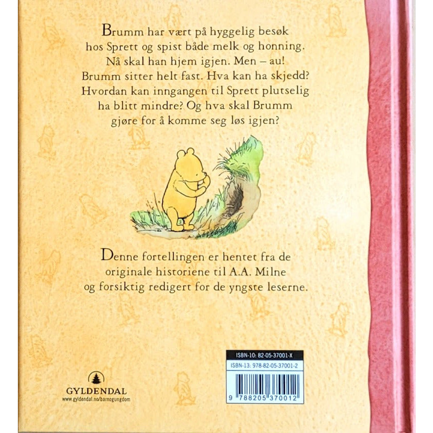 Brumm går på besøk, etter A.A. Milne