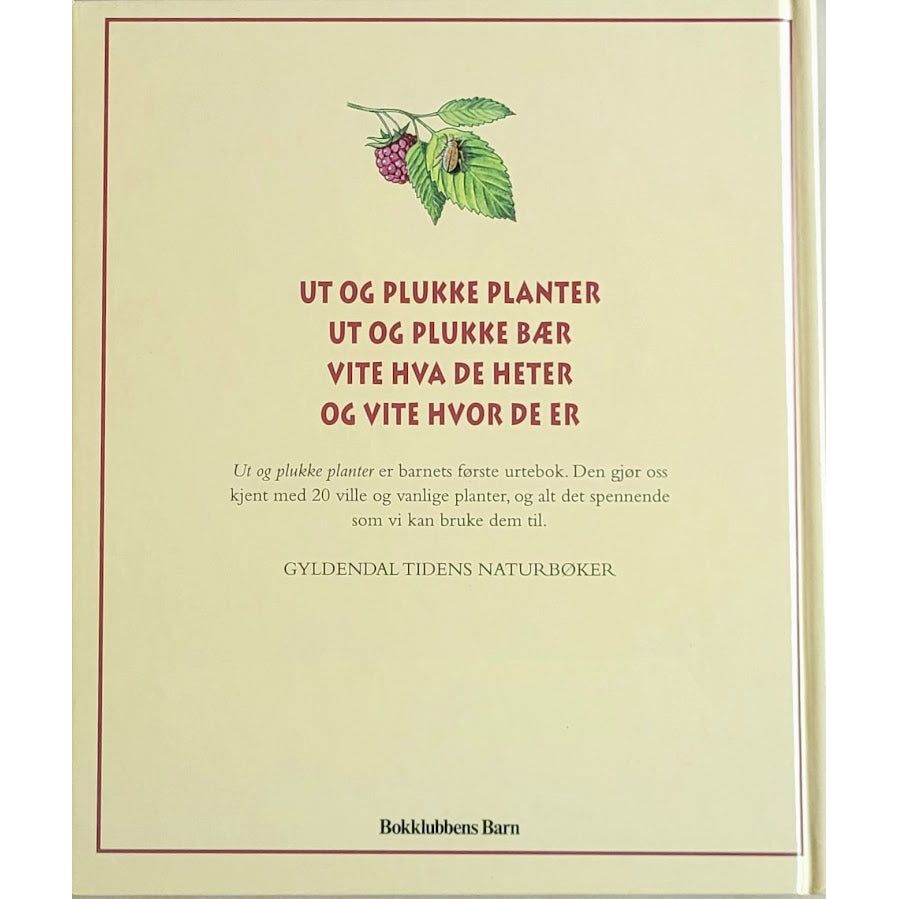 Granrud, Lill - Ut og plukke planter. Urter i naturen