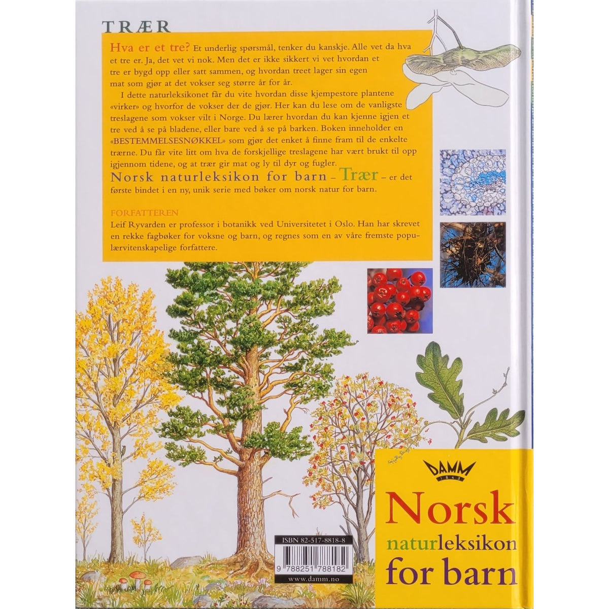 Trær, brukte bøker av Leif Ryvarden. Norsk naturleksikon for barn