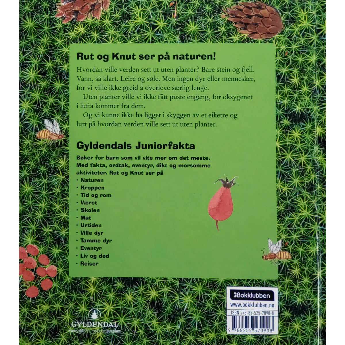 Rut og Knut ser på naturen. Kongler og grønt gress. Gyldendals Juniorfakta. Brukte bøker