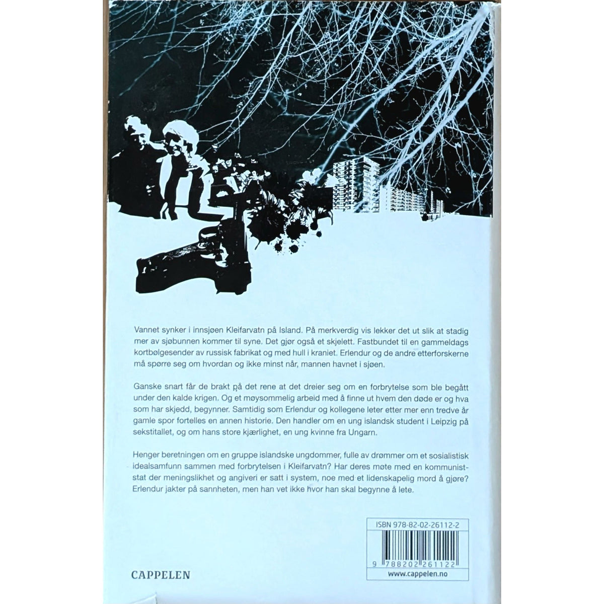 Indridason, Arnaldur: Erlendur Sveinsson 4 - Vannet