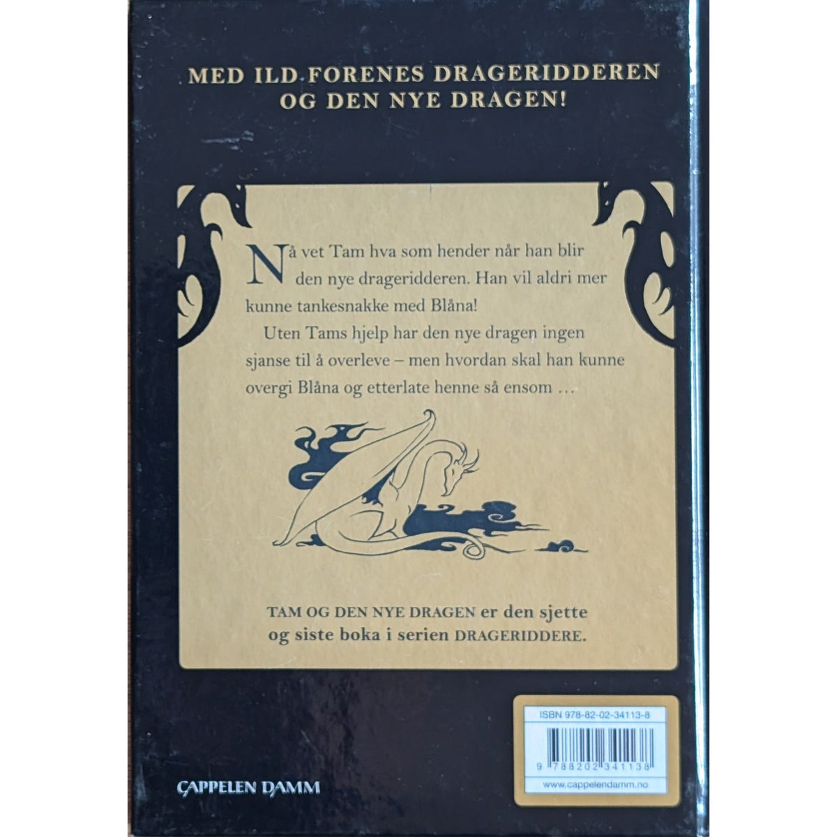 Drageridderne (6) - Tam og den nye dragen, brukte bøker av Jo Salmson