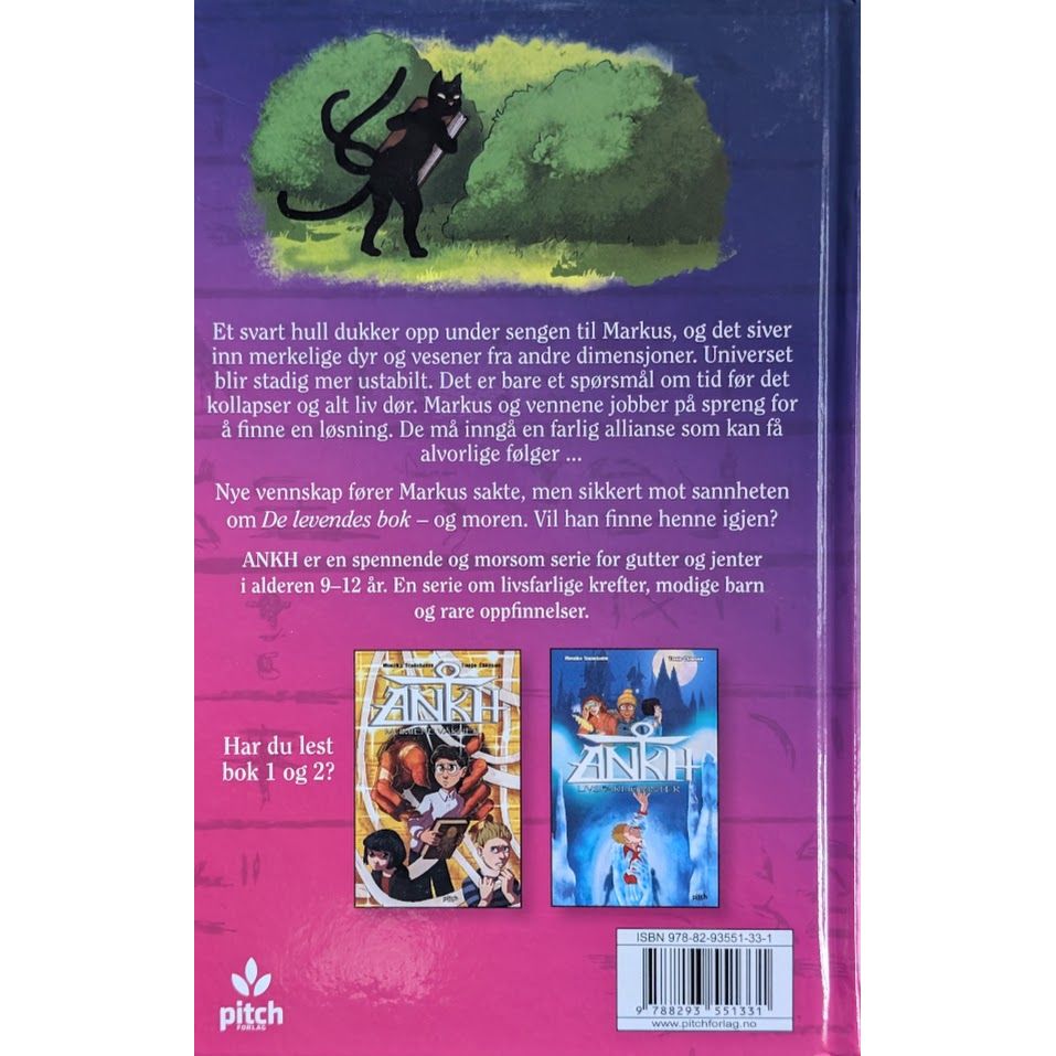 Ankh 3 - Kattekongens jakt, brukte bøker av Monika Steinholm. Bruktbokhandel