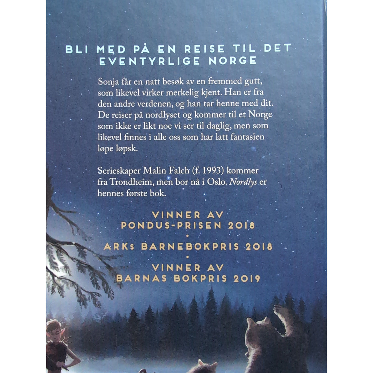 Falch, Malin: Nordlys (1) - Reisen til Jotundalen