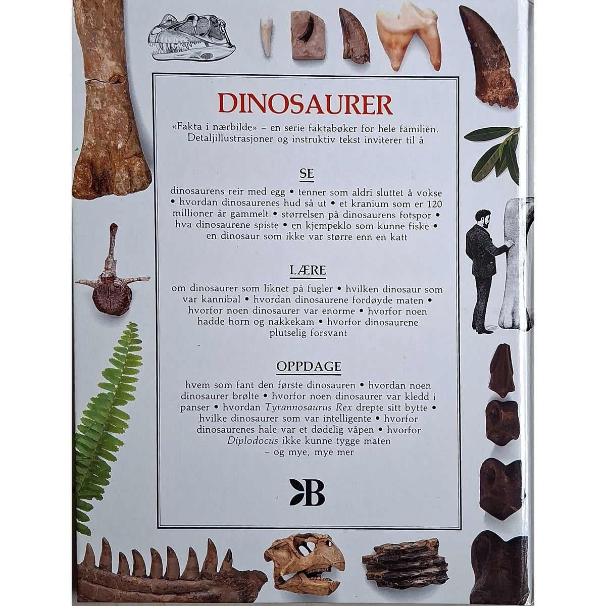 Fakta i nærbilde-serien: Dinosaurer