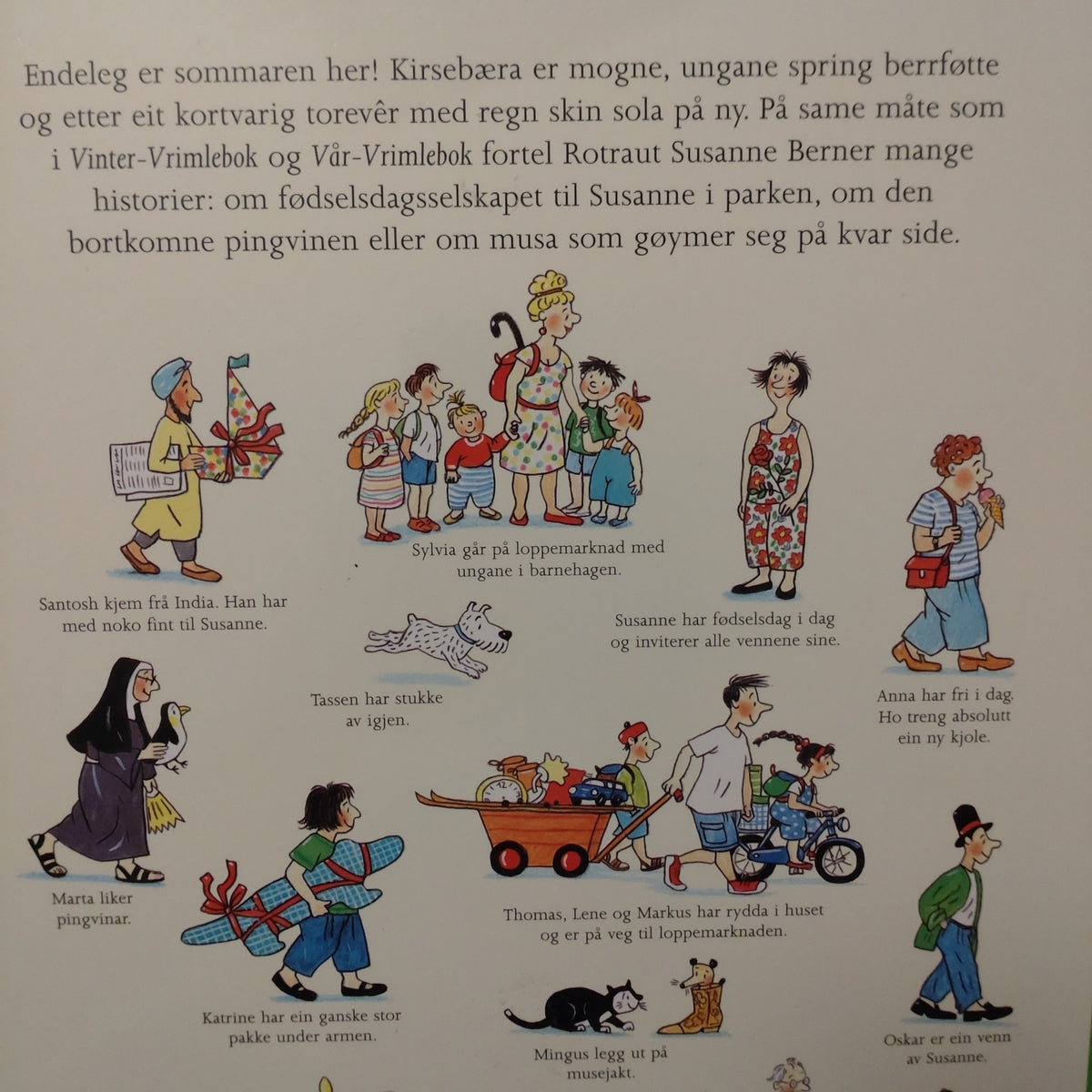 Berner, Rotraut Susanne: Sommar-Vrimlebok