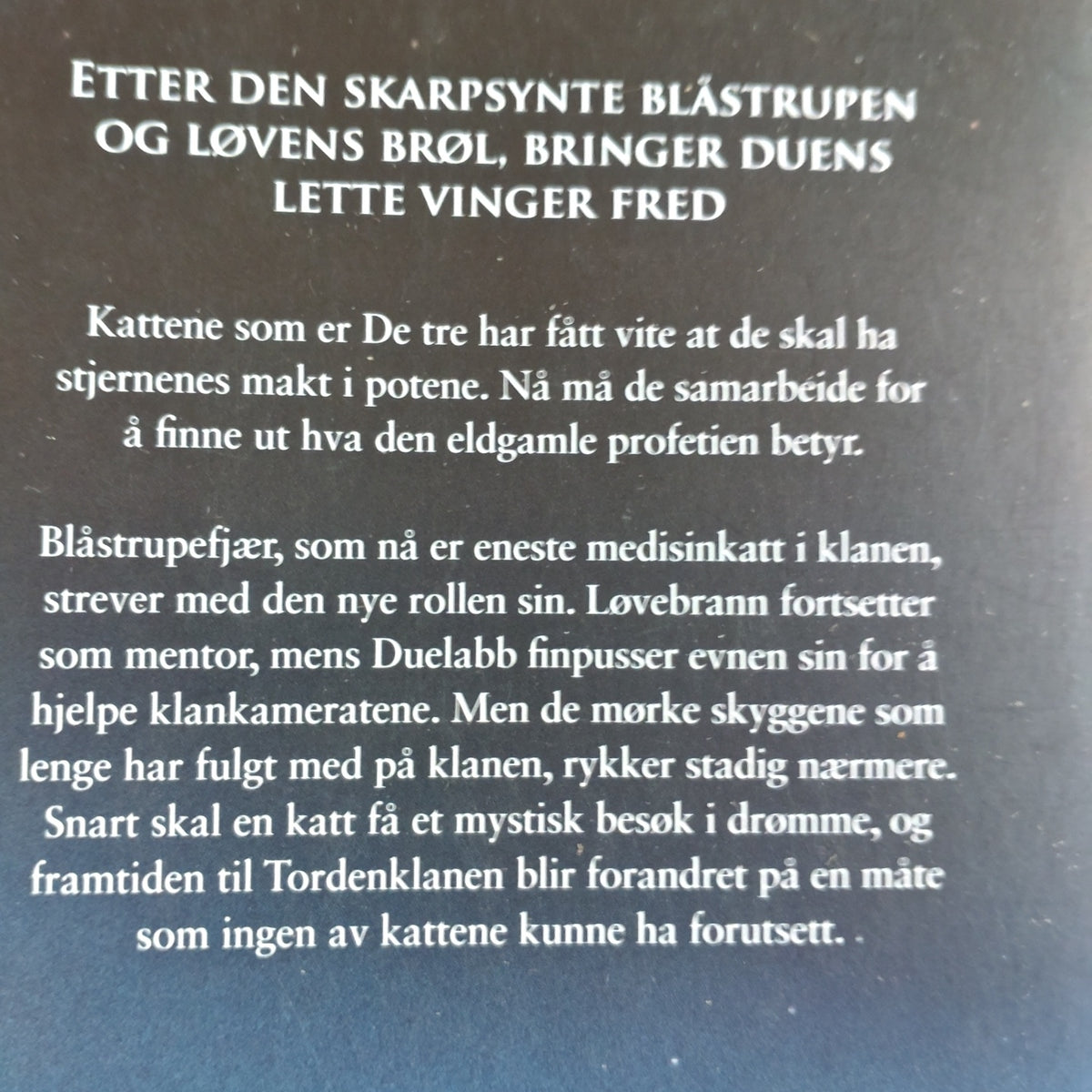 Hunter, Erin: Tapt ekko - Kattekrigerne serie 4 - bok 2
