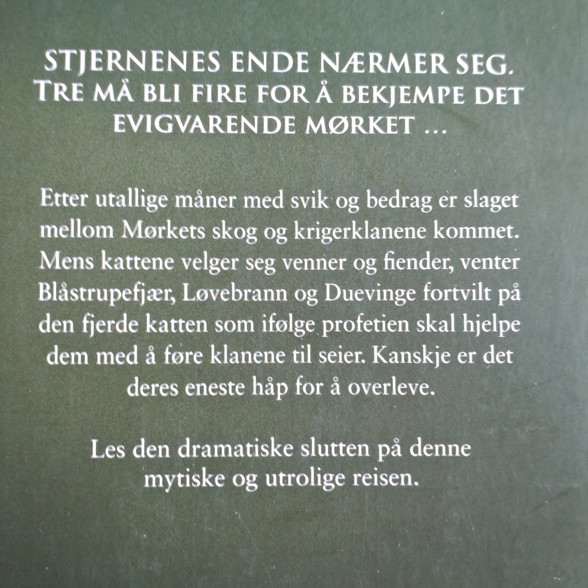 Hunter, Erin: Et siste håp - Kattekrigerne serie 4 - bok 6
