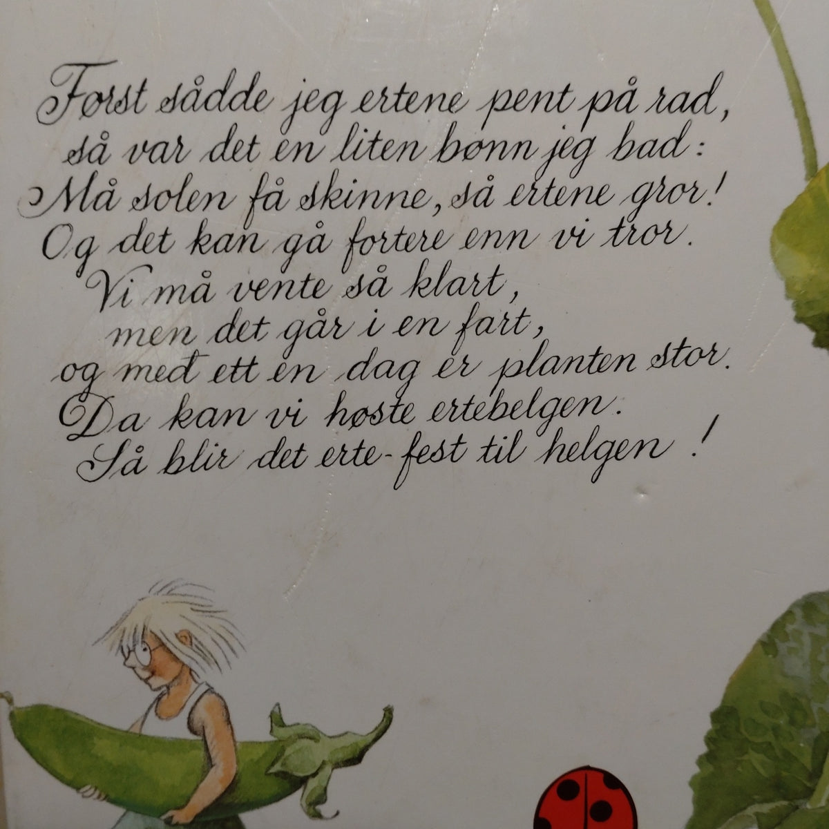 Anderson, Lena: Maris Vesle Grønne