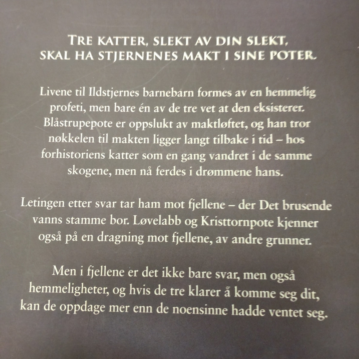 Hunter, Erin: Utstøtt - Kattekrigerne serie 3 - bok 3