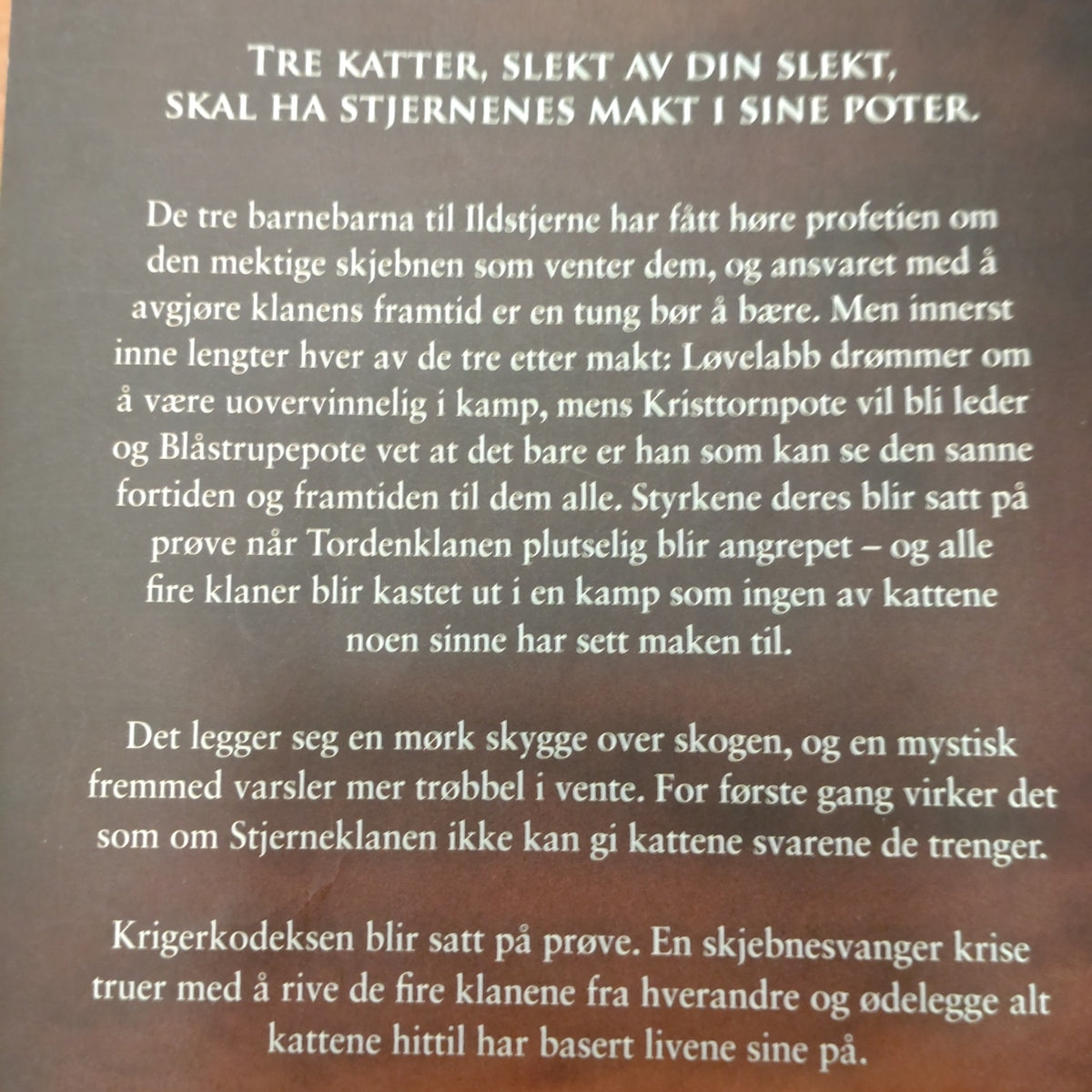 Hunter, Erin: Eklipse - Kattekrigerne serie 3 - bok 4