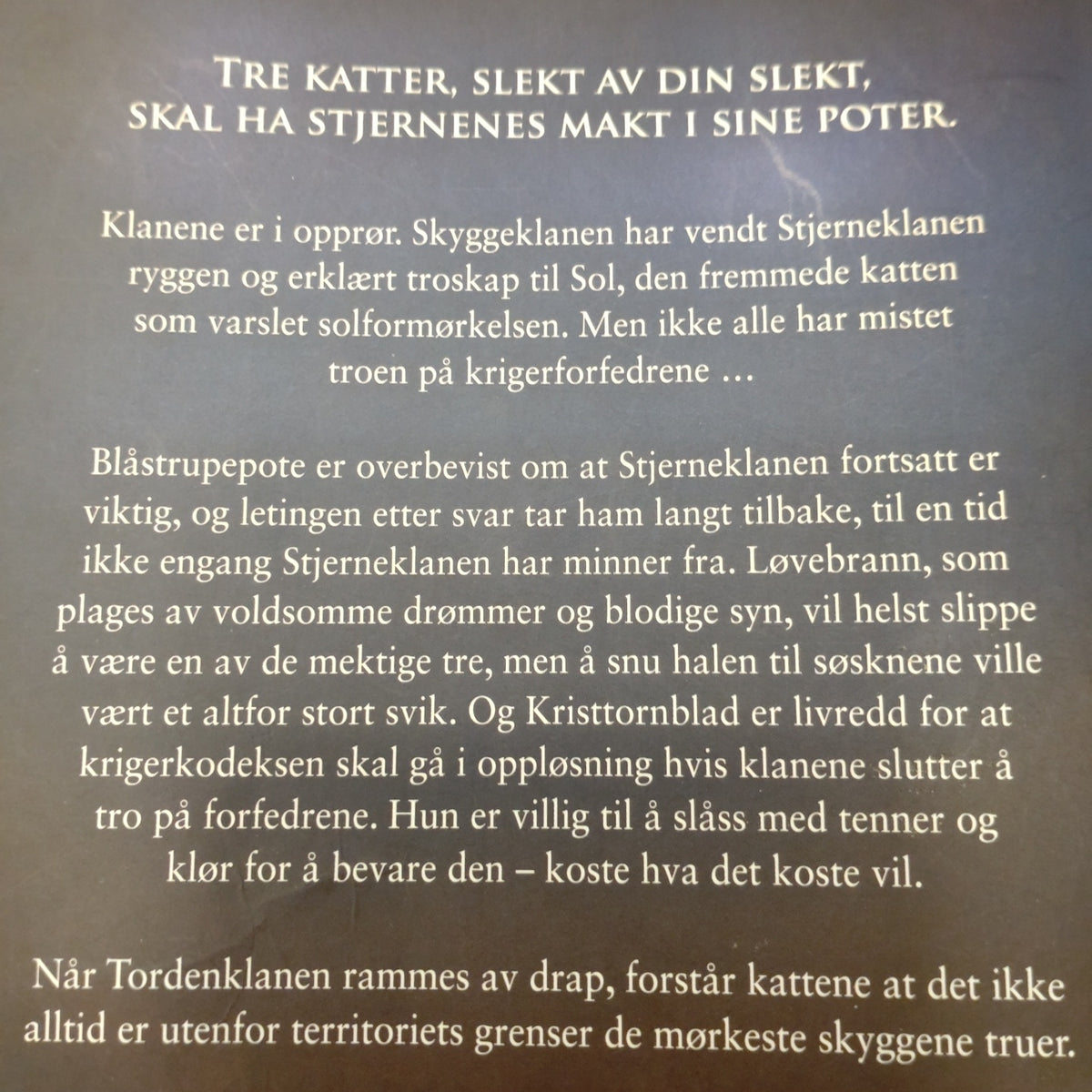 Hunter, Erin: Lange skygger - Kattekrigerne serie 3 - bok 5