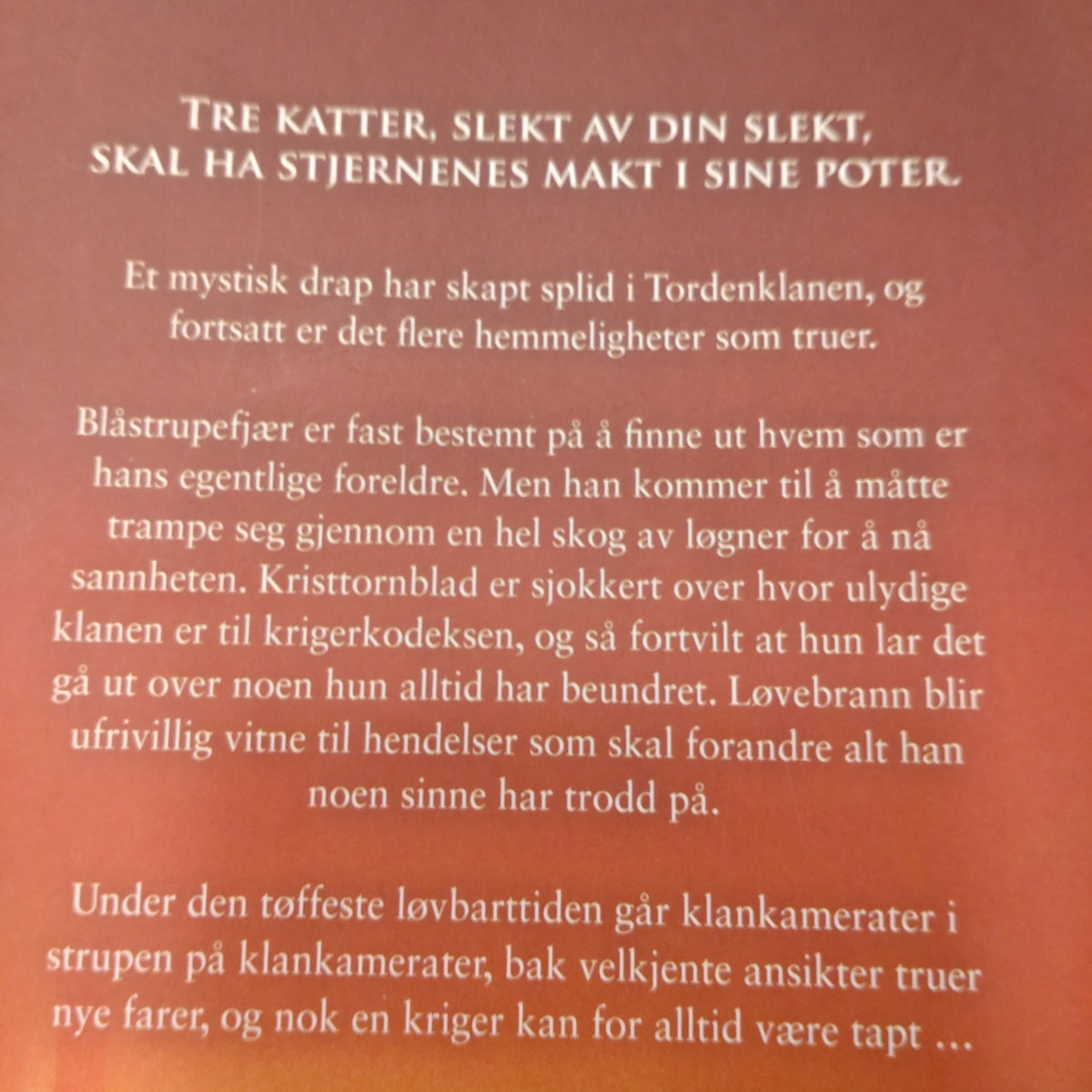 Hunter, Erin: Soloppgang - Kattekrigerne serie 3 - bok 6