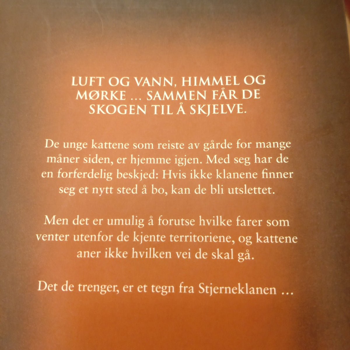 Hunter, Erin: Daggry - Kattekrigerne serie 2 - bok 3
