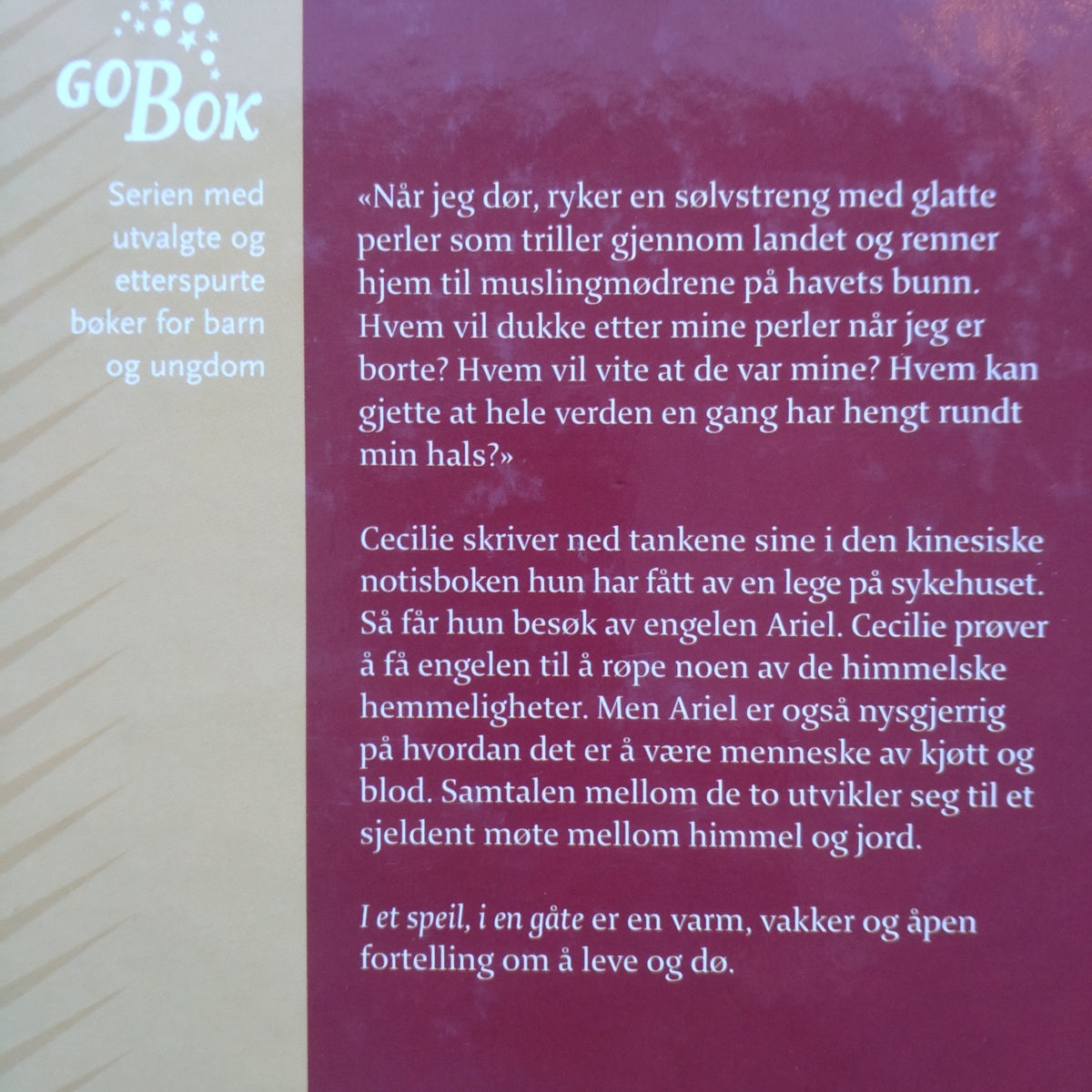Gaarder, Jostein: I et speil, i en gåte