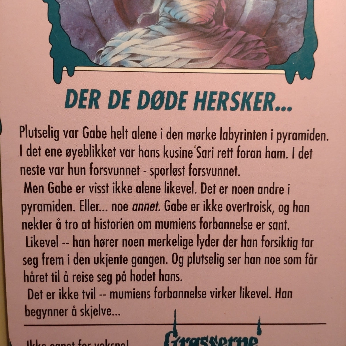 Stine, R.L.: Grøsserne 5 - Mumiens forbannelse