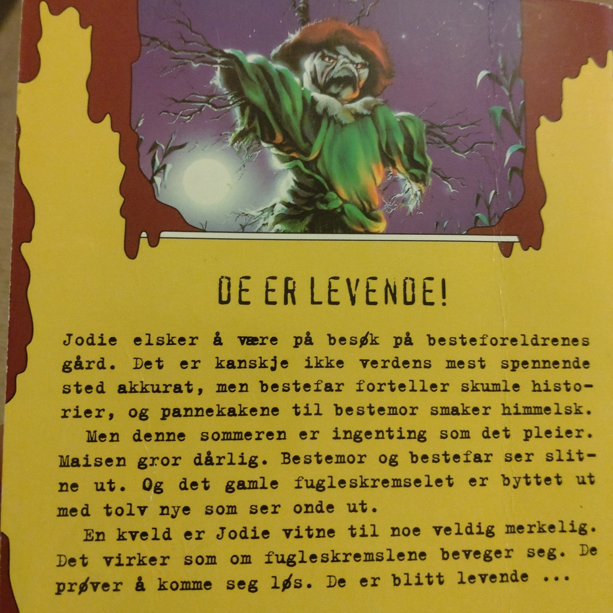 Stine, R.L.: Grøsserne 20 - Fugleskremselet vandrer om natten