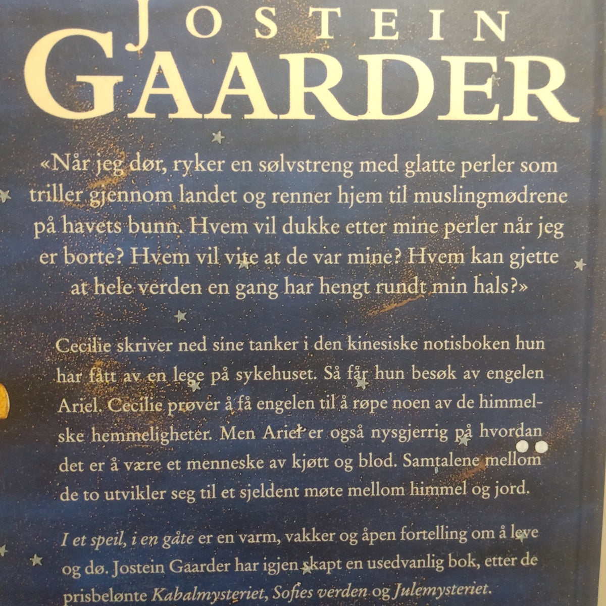 Gaarder, Jostein: I et speil, i en gåte