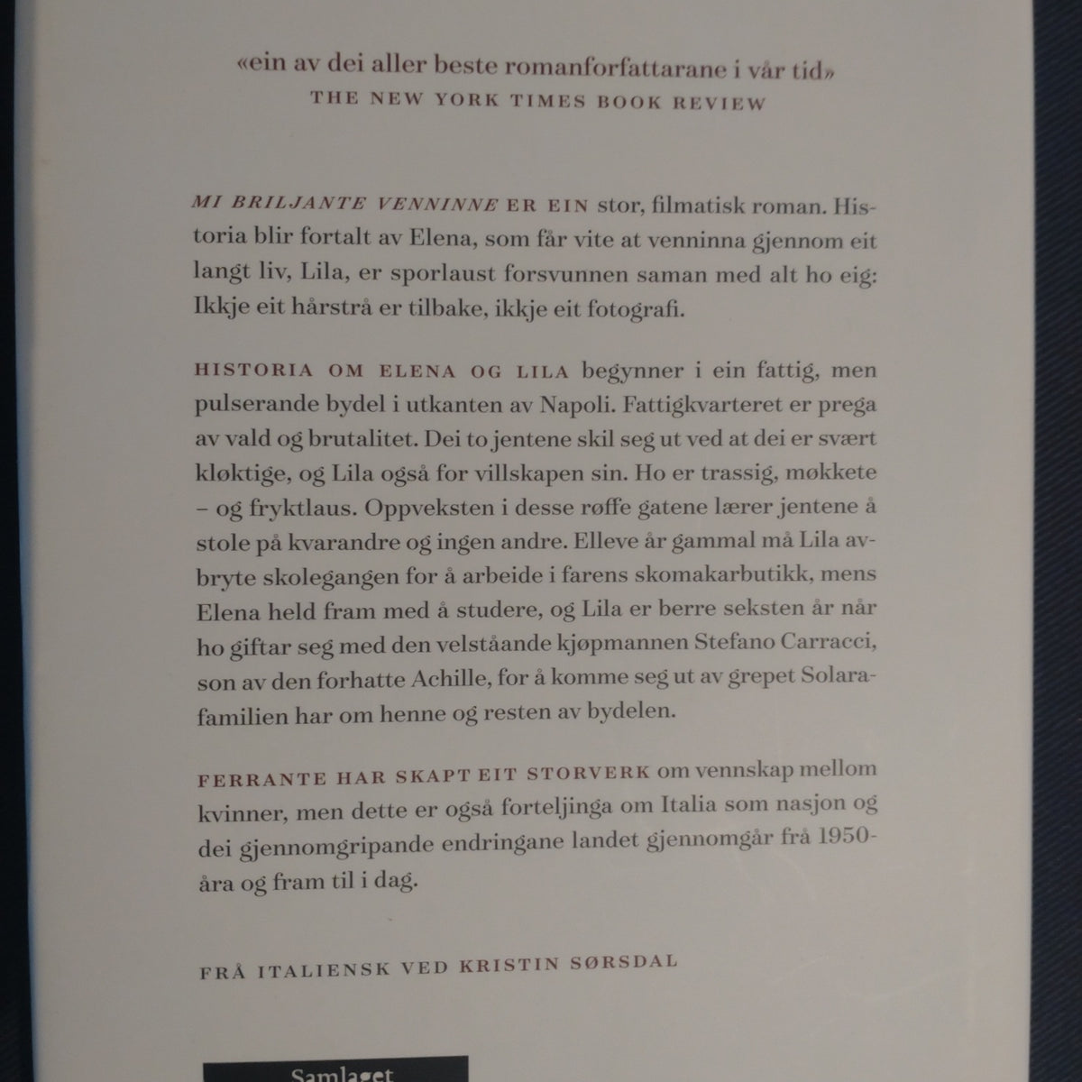Ferrante, Elena: Napolikvartetten 1 - Mi briljante venninne