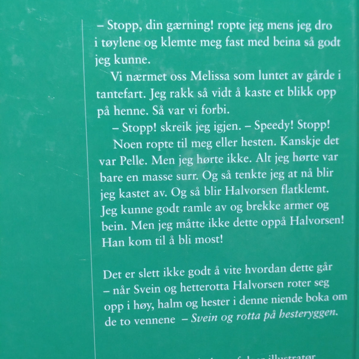 Nicolaysen, Marit: Svein og Rotta på hesteryggen