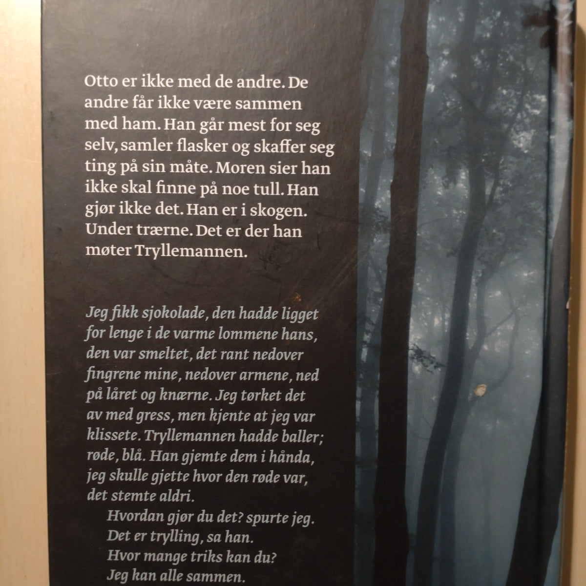 Ingvaldsen, Bjørn: Tryllemannen