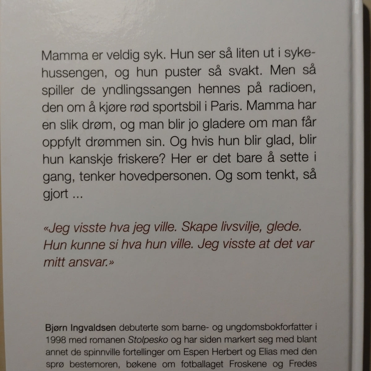 Ingvaldsen, Bjørn: Sangen om Lucy