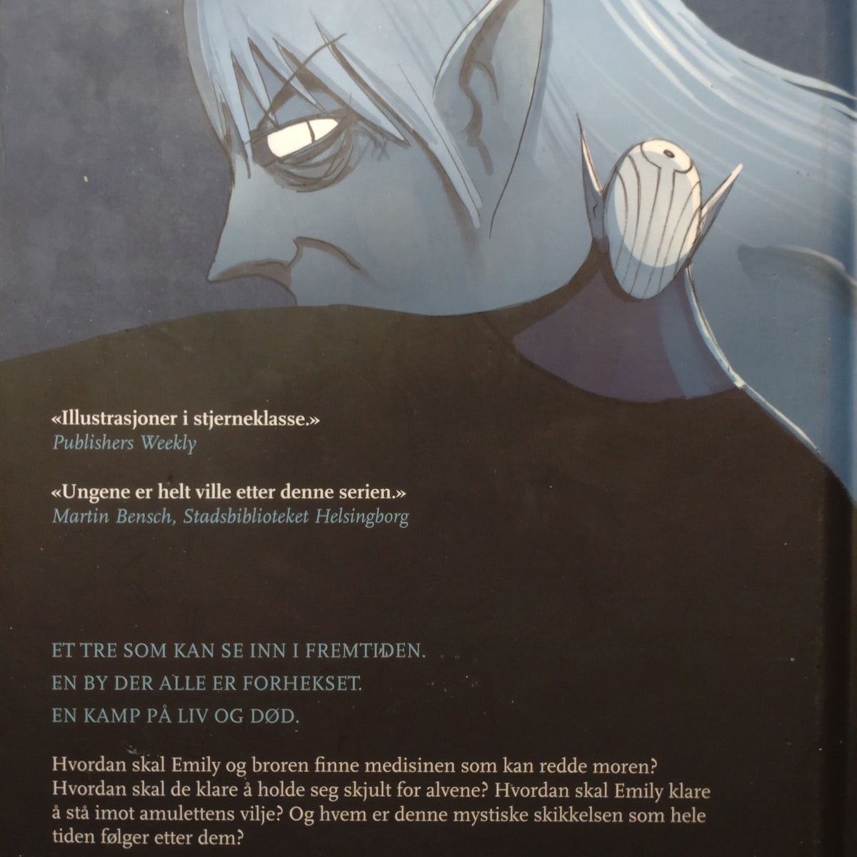 Kibuishi, Kazu: Amuletten - 2. Steinvokterens forbannelse