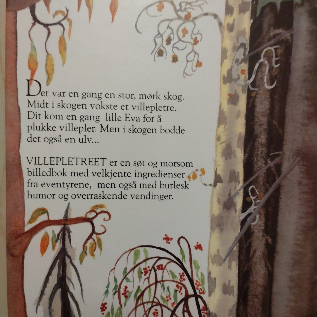 Persson, Lasse: Villepletreet