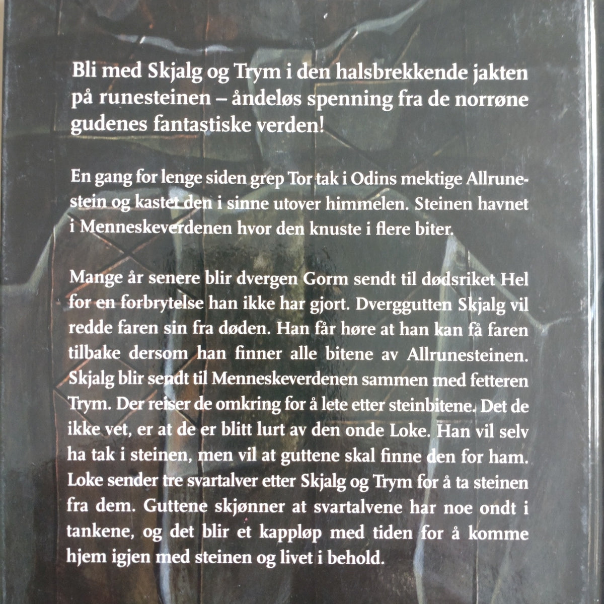 Riise-Hansen, Anette: Runesteinen