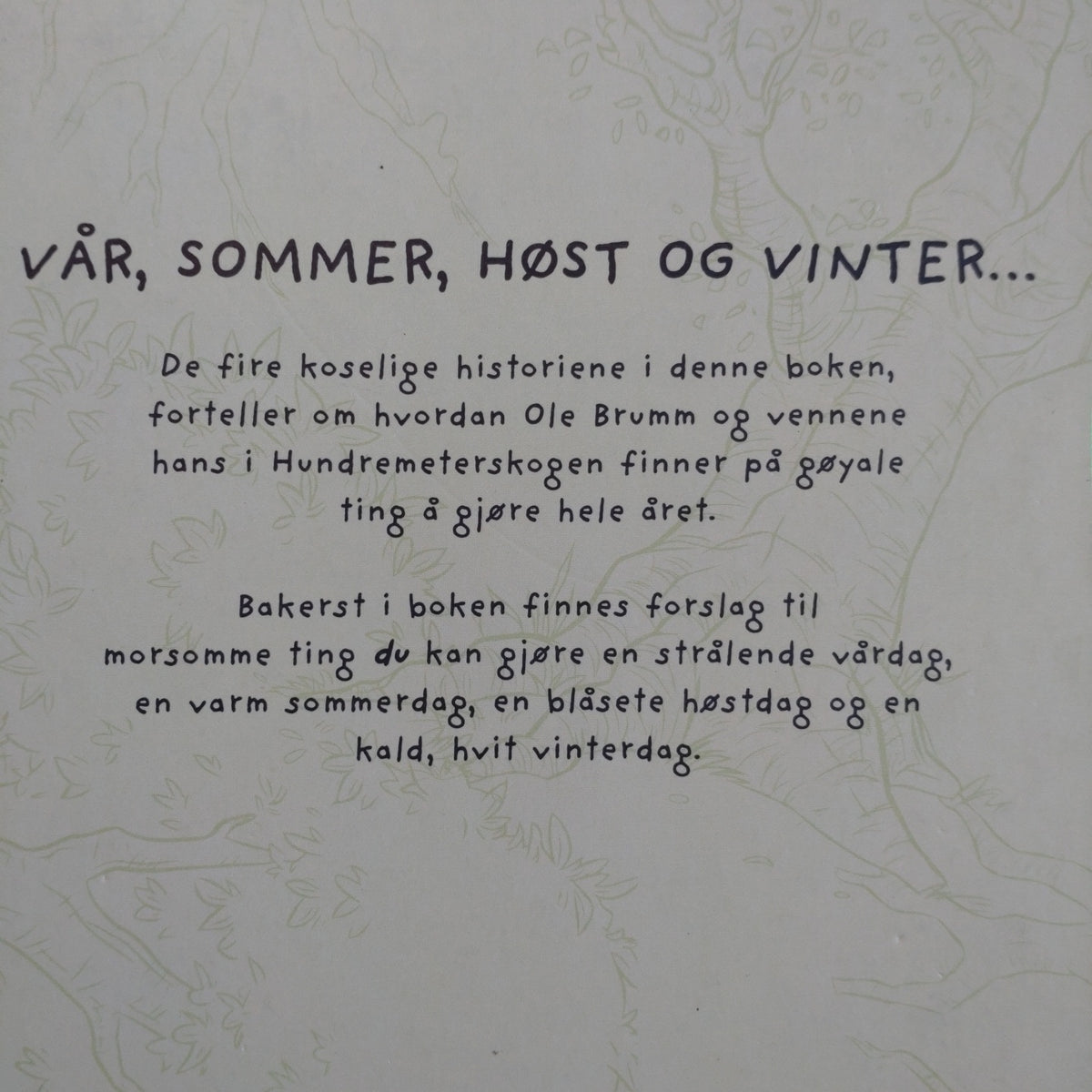 Disney's: Lær om årstidene med Ole Brumm