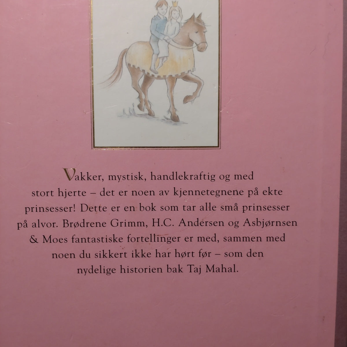 Barnas store prinsessebok