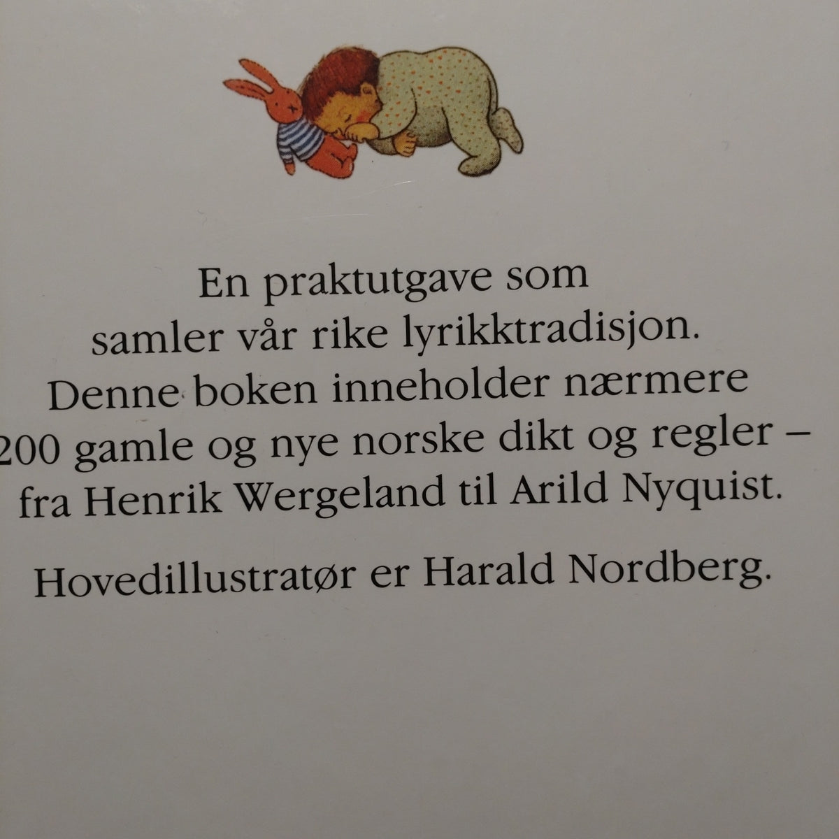 Den store dikt og regleboka II