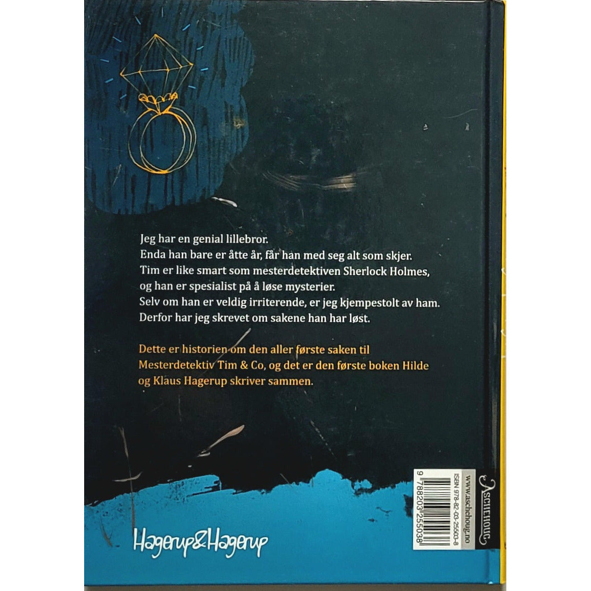 Hagerup & Hagerup: Mesterdetektiv Tim & Co 1 - Mysteriet om den forsvunne diamanten