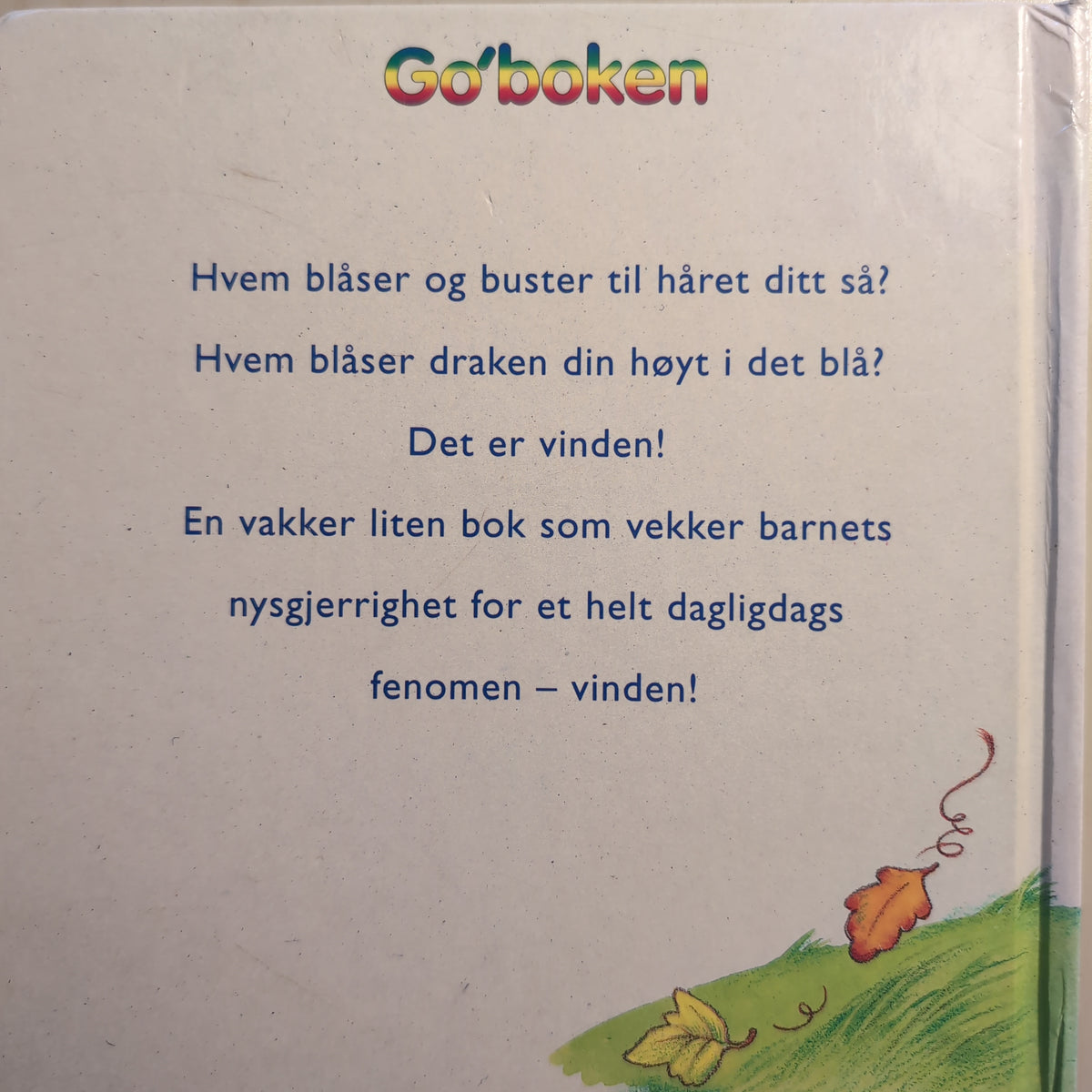 Eivind i vinden