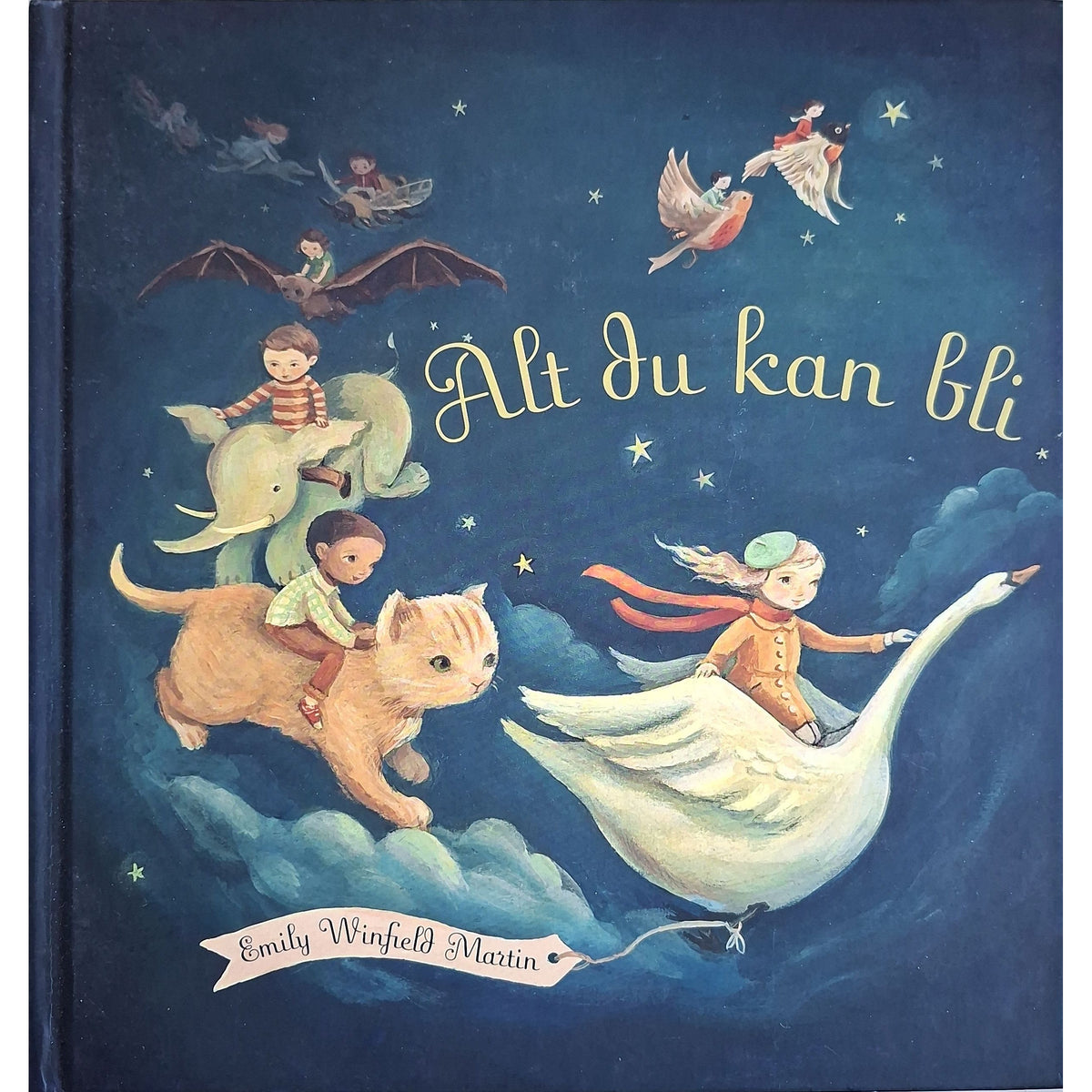 Alt du kan bli, brukte bøker av Emily Winfield Martin