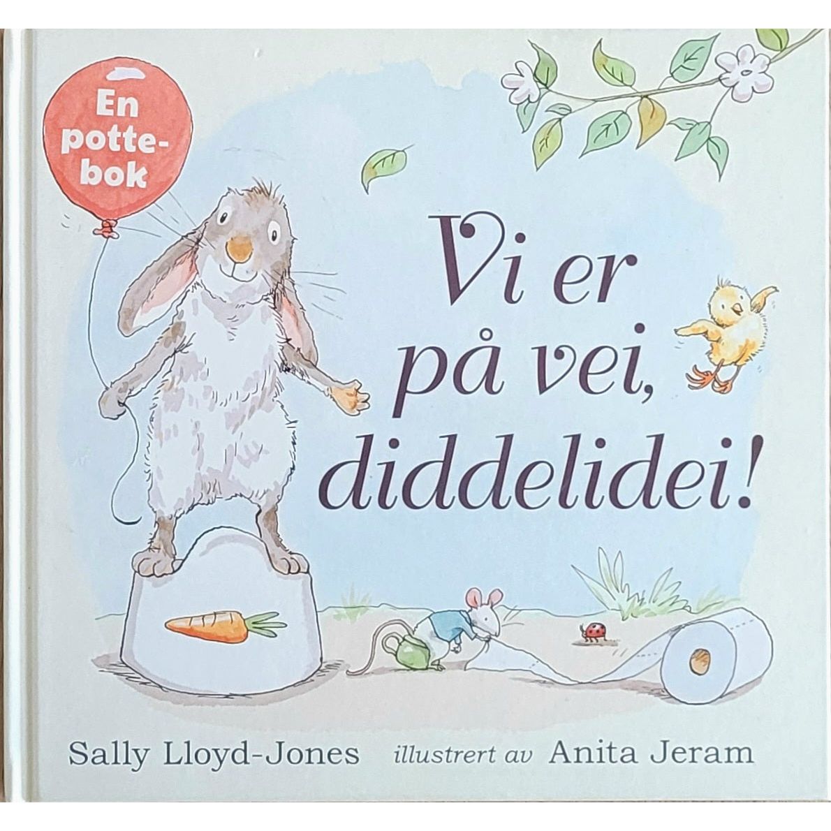 Vi er på vei, diddelidei! - Brukte barnebøker av Sally Lloyd-Jones