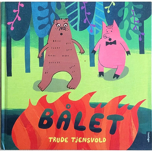 Bålet, brukte bøker av Trude Tjensvold
