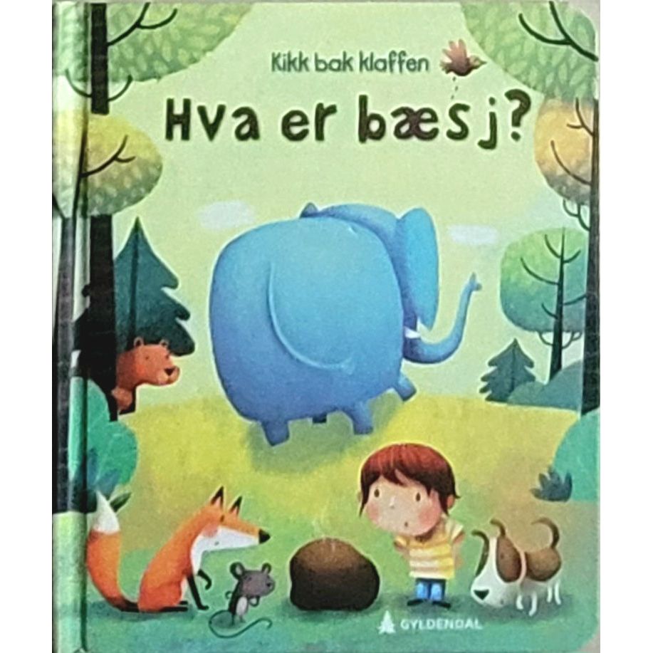 Hva er bæsj? - brukte bøker