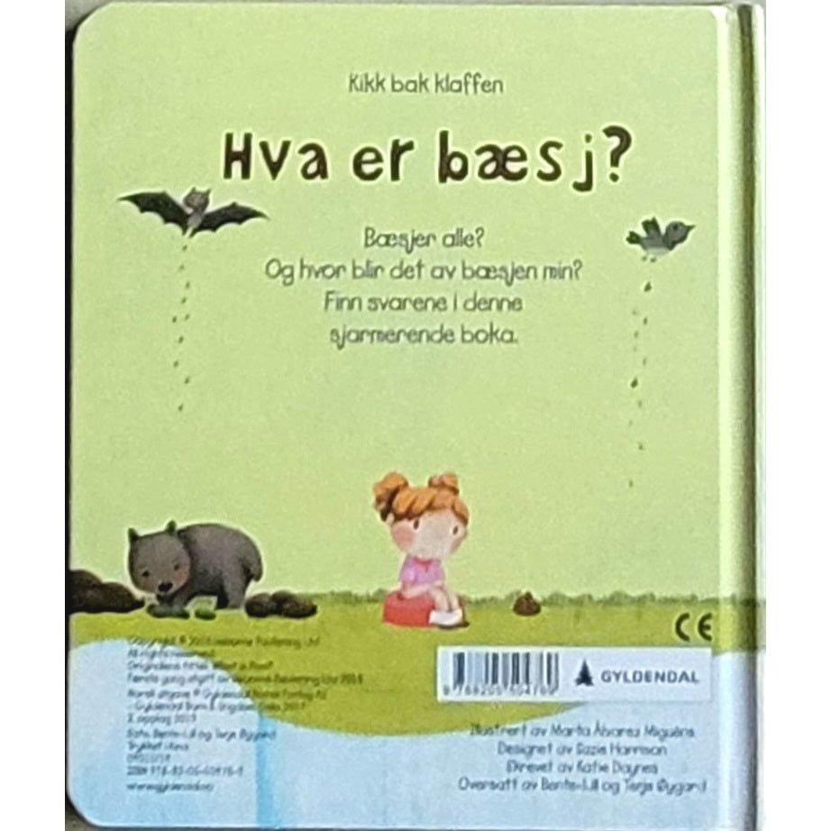 Hva er bæsj?