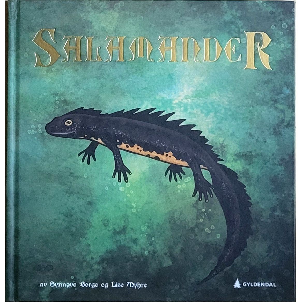 Salamander, brukte bøker av Synnøve Borge og Lise Myhre