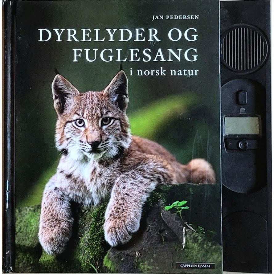 Dyrelyder og fuglesang i norsk natur - Brukte bøker av Jan Pedersen