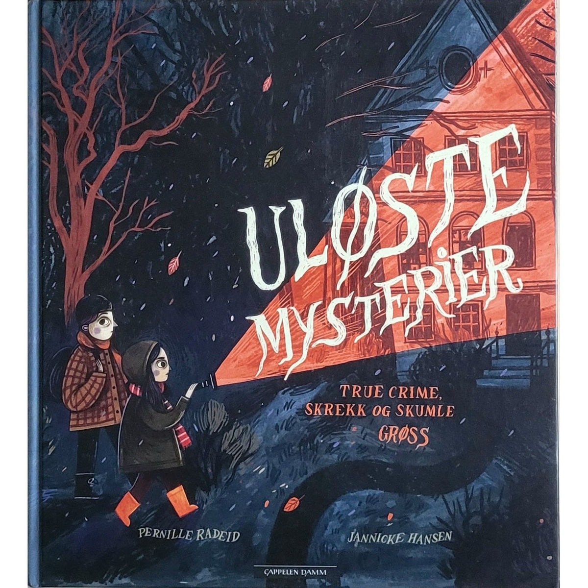 Uløste mysterier, brukte bøker av Pernille Radeid