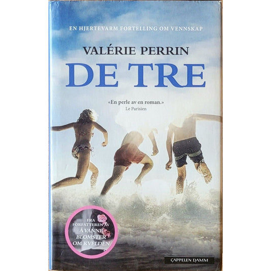 De tre, brukte bøker av Valérie Perrin