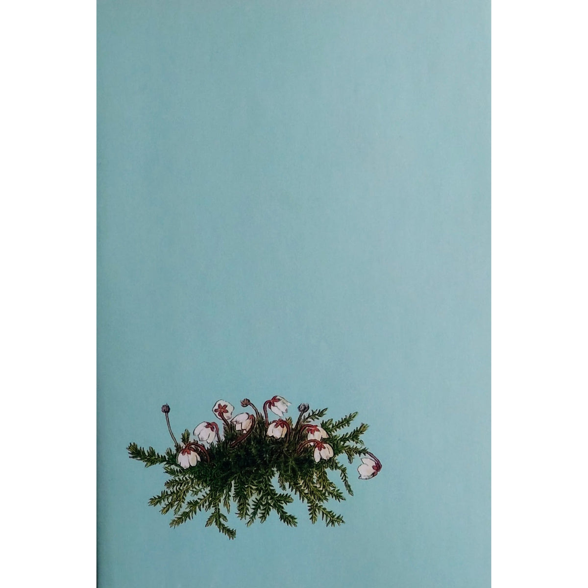 Dagny Tande Lid: Å nei for en vår. Blomster i tegninger og dikt Brukt bok