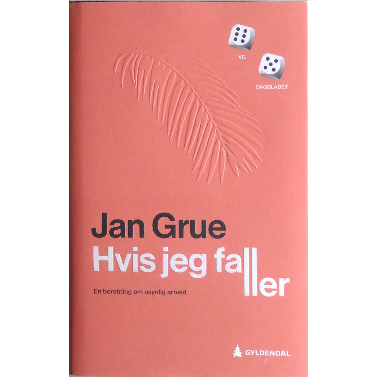 Jan Grue: Hvis jeg faller En beretning om usynlig arbeid Brukte bøker av Jan Grue