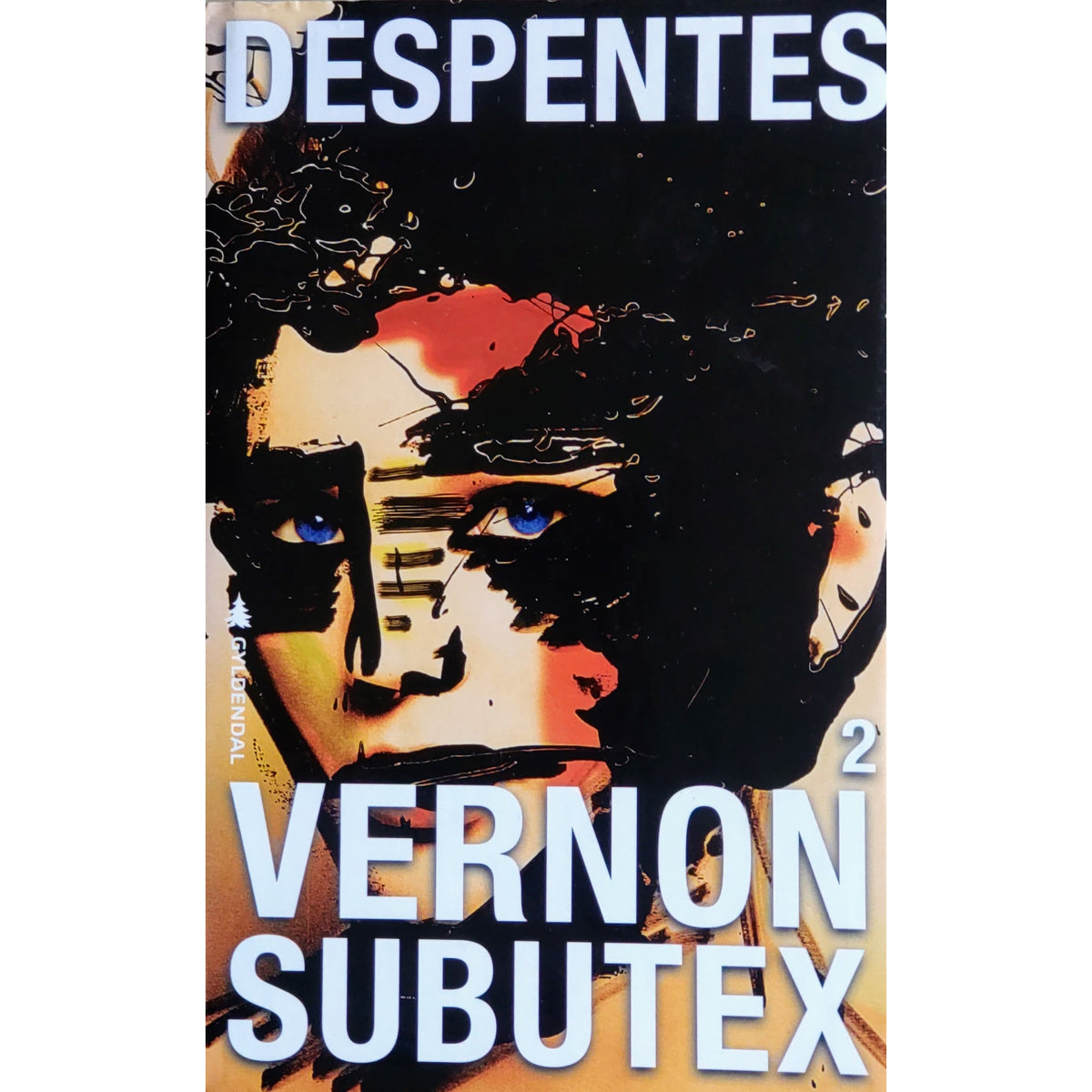  Virginie Despentes:  Vernon Subutex 2. Brukte bøker av Despentes