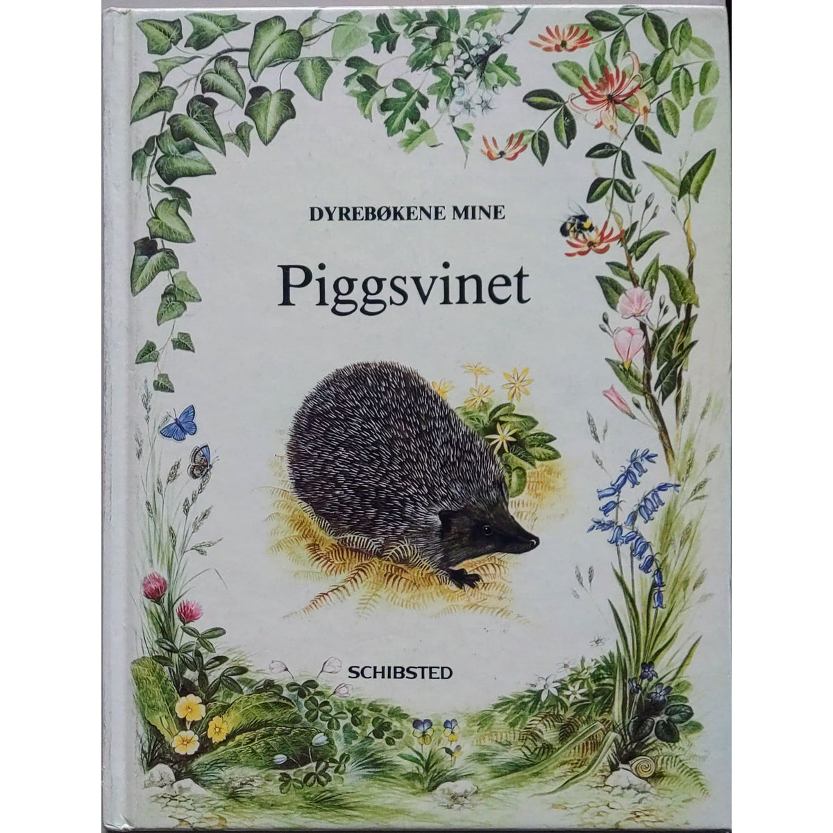 Piggsvinet, brukte bøker av Angela Sheehan i Dyrebøkene mine-serien
