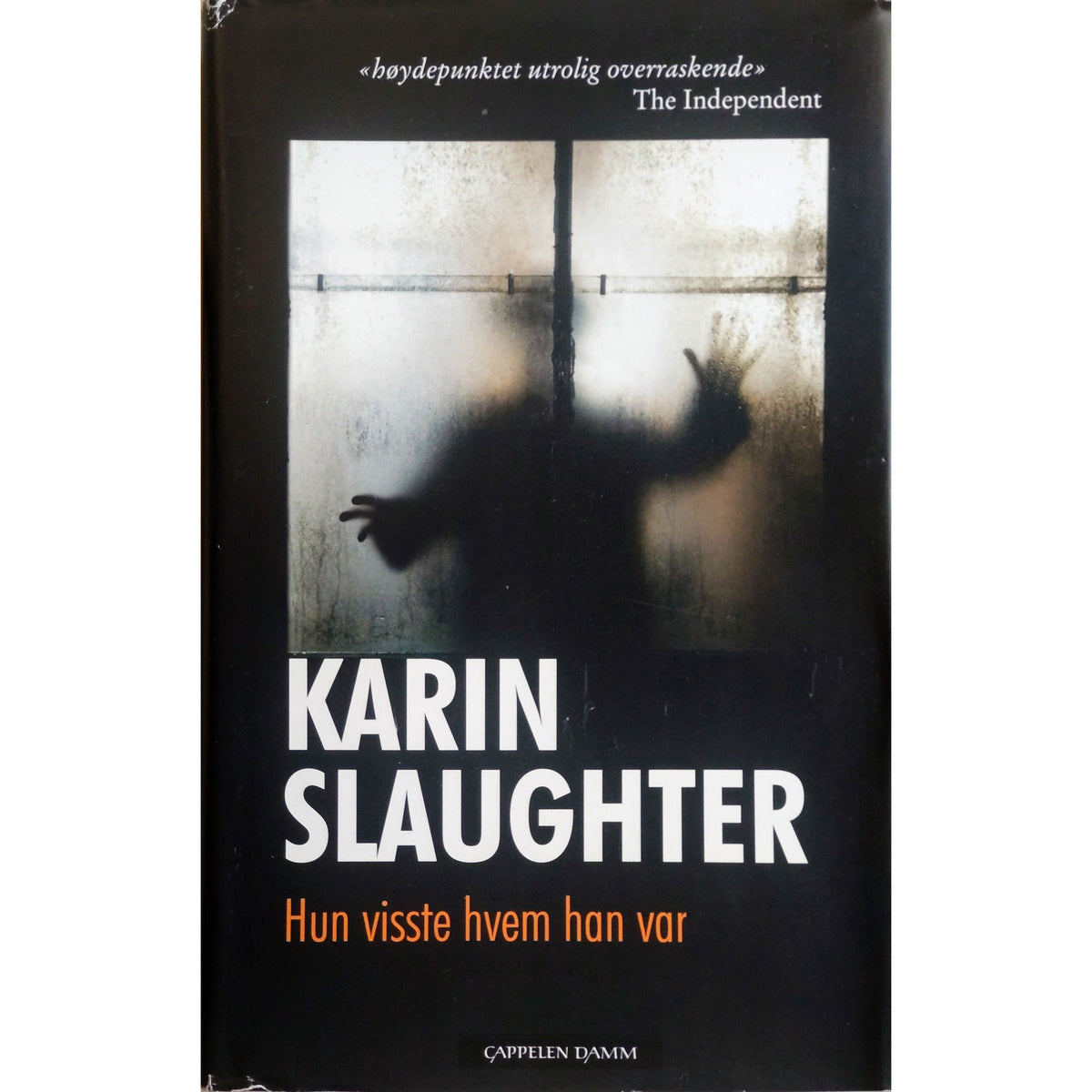 Hun visste hvem han var, brukte bøker av Karin Slaughter
