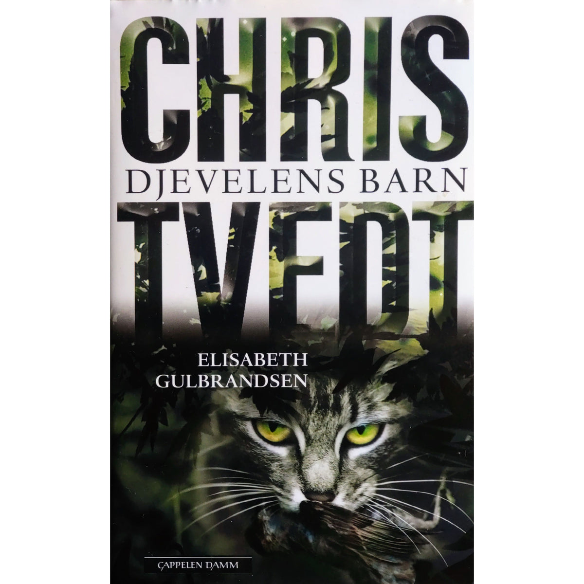 Djevelens barn, brukte bøker av Chris Tvedt og Elisabeth Gulbrandsen